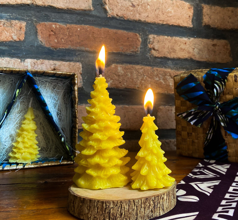 (!) Pine Tree Candle Gift Set Gift Box Azizi Life 